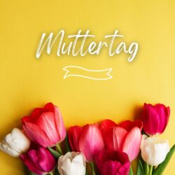 Schärpen für Muttertag